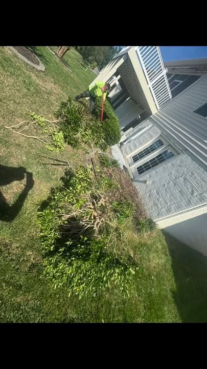 Shrub Trimming