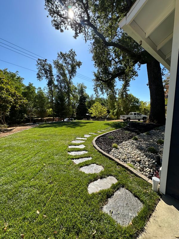 Landscaping