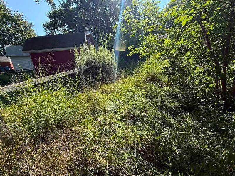 Weed Control