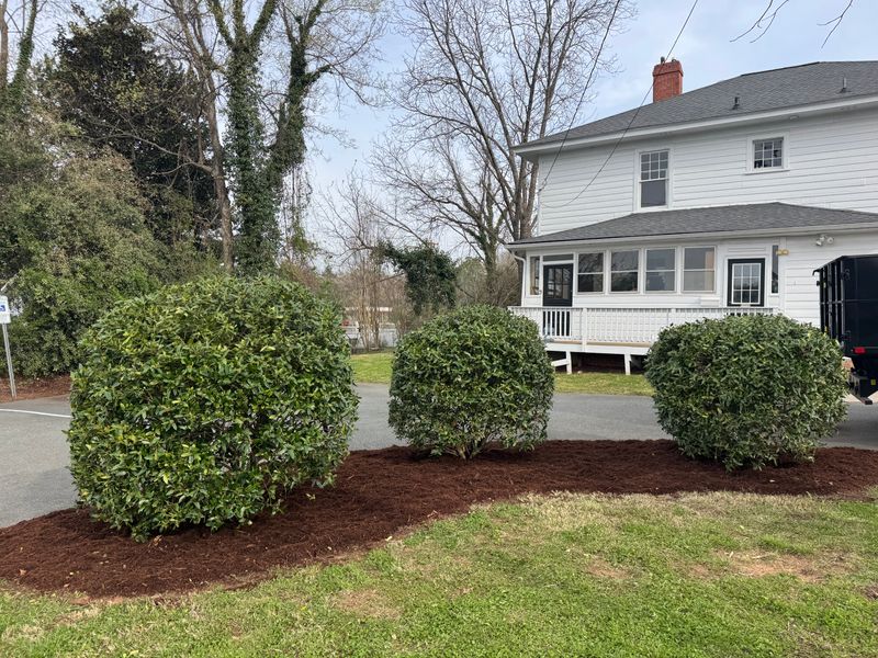 Mulch Installation