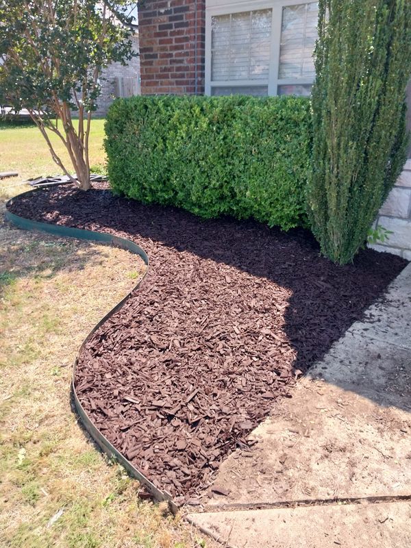 Shrub Trimming