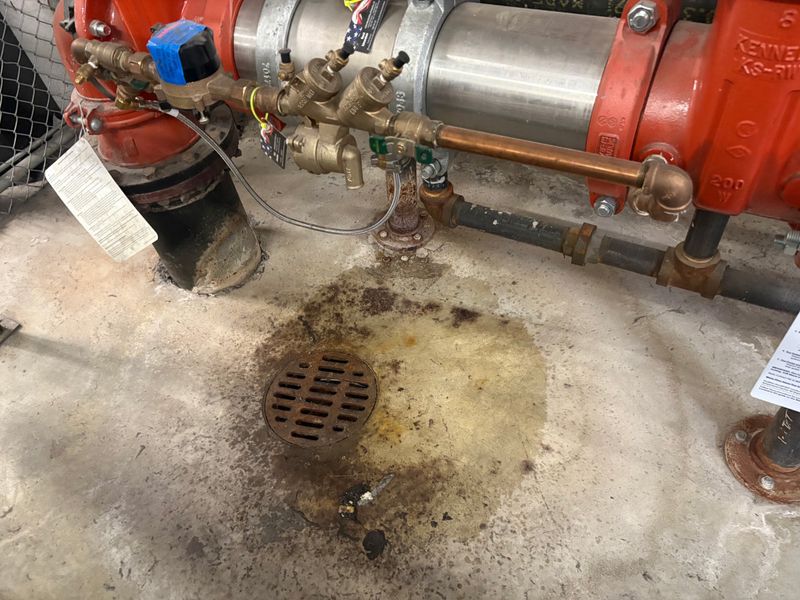 Leak Detection and Repair