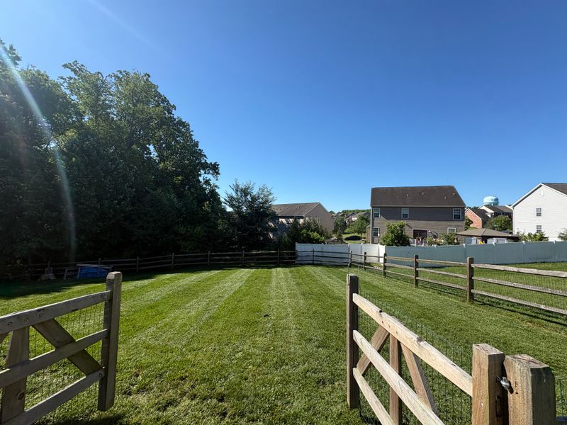 Lawn Maintenance