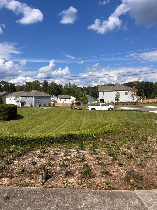Lawn Maintenance