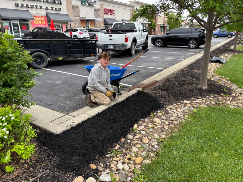 Landscaping