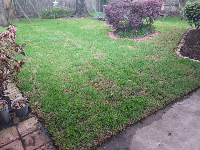 Landscaping Designs