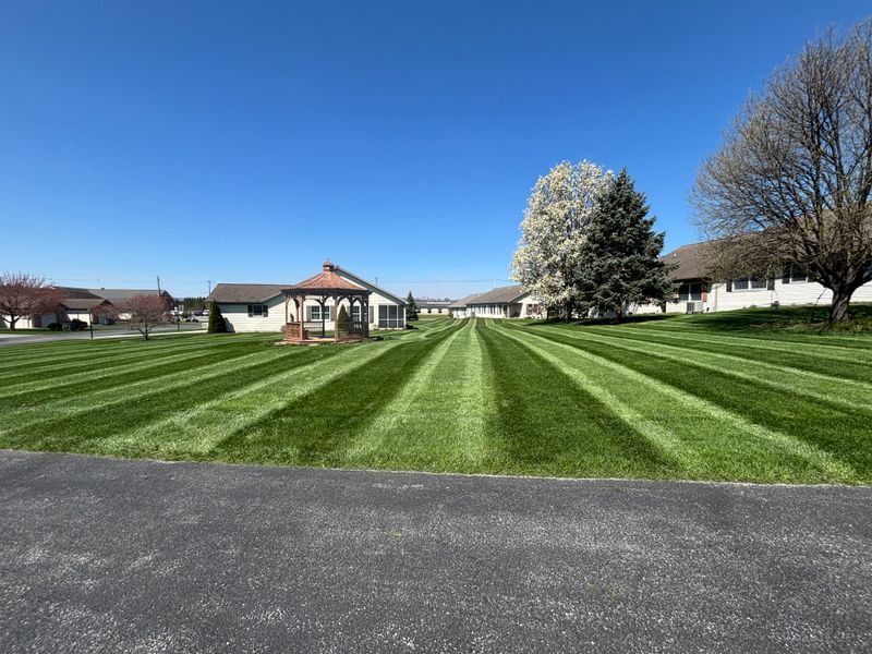Lawn Mowing