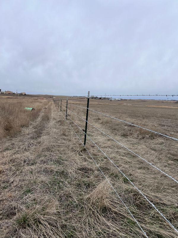 Fence