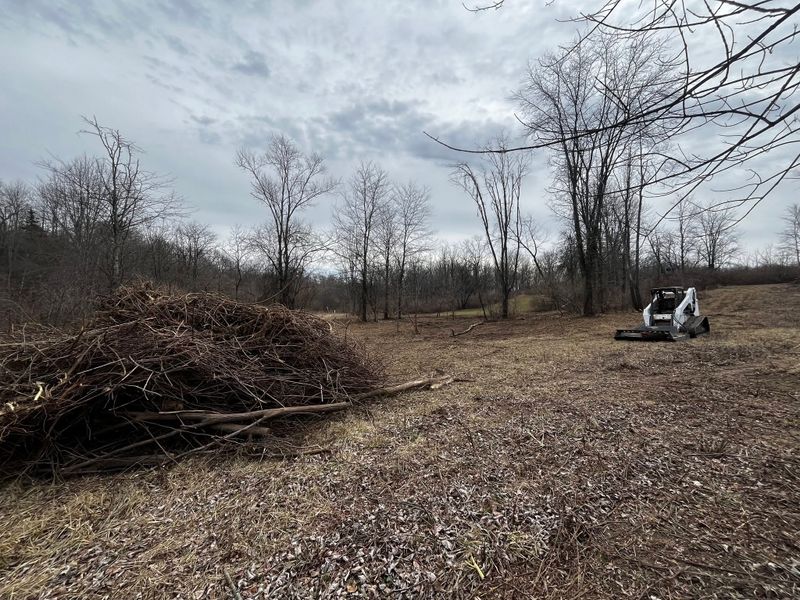 Land Clearing