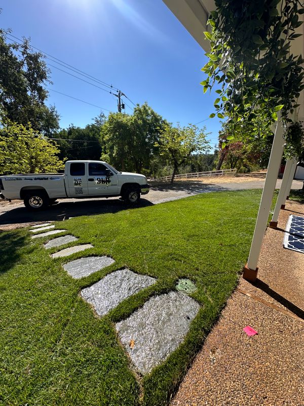 Landscaping