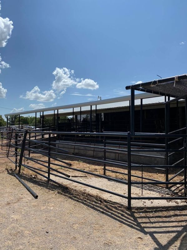 Pipe Fencing
