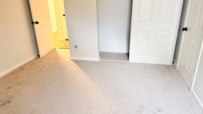 Carpet Installation and Repair