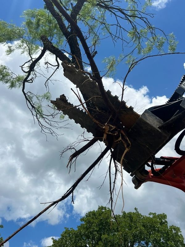 Land Clearing