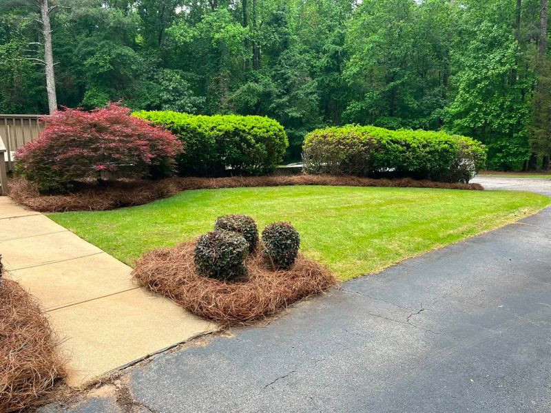 Lawn Care & Maintenance