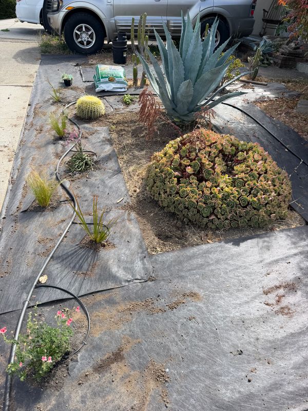 Landscaping