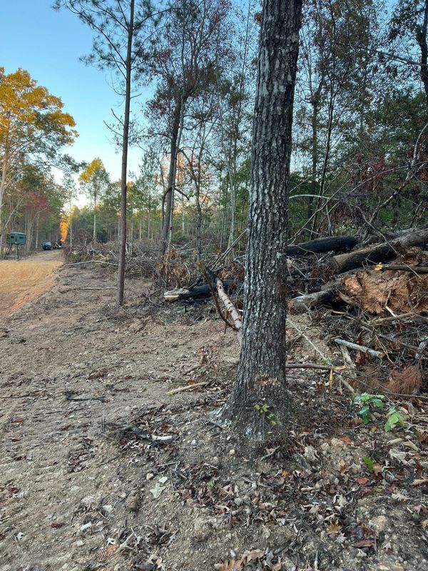 Land Clearing