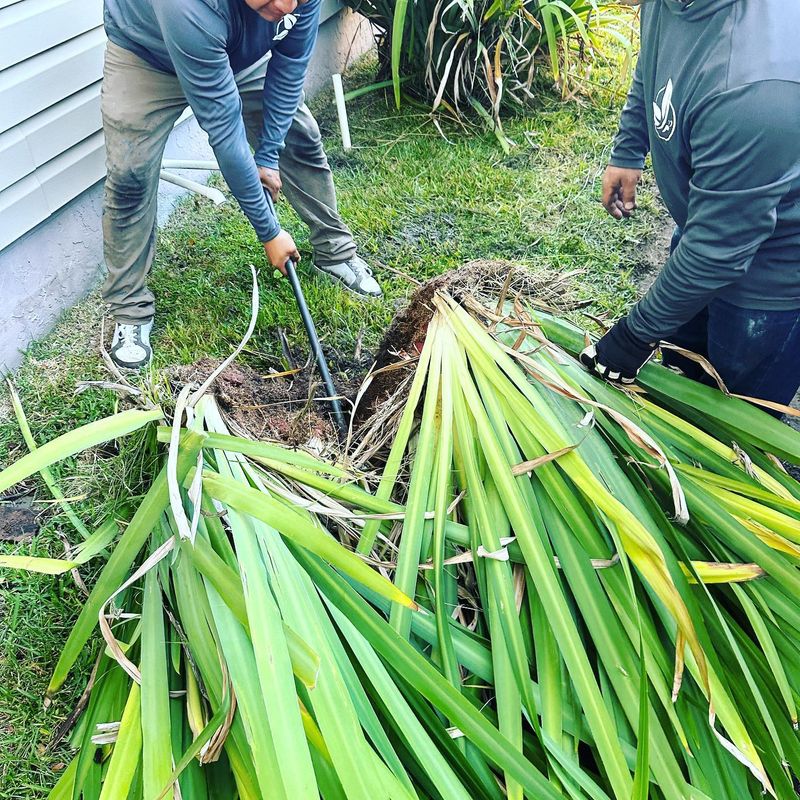 Our Work