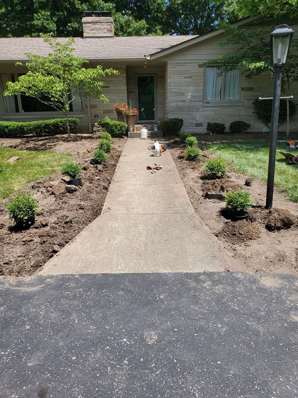 Shrub Trimming