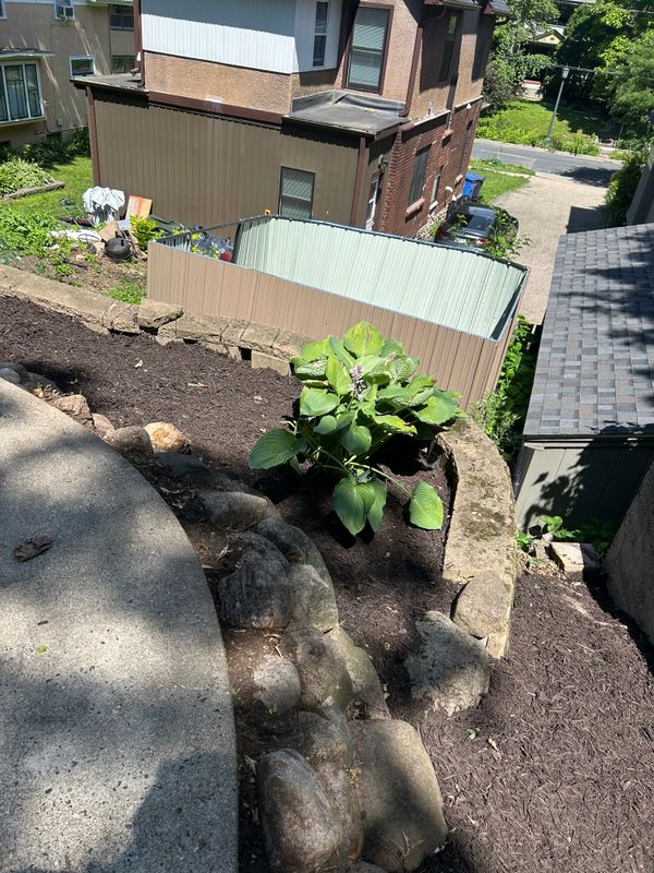 Flower Bed Gallery