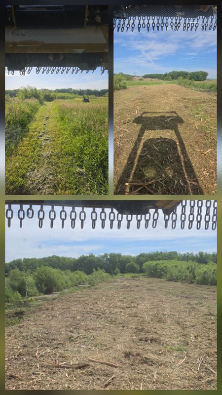 Forestry Mulching