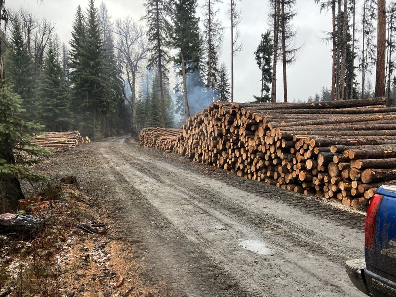 Logging