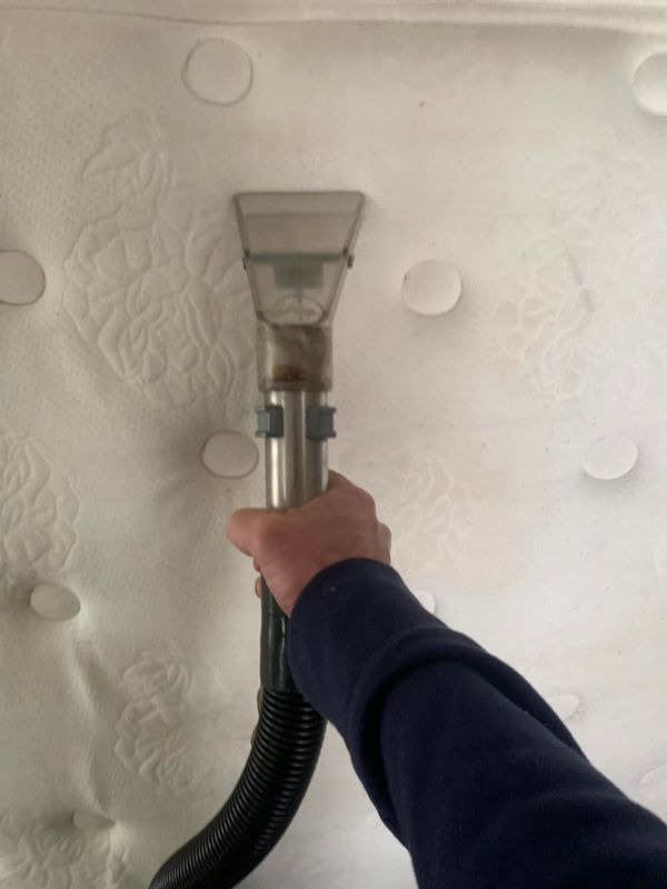 Upholstery Cleaning