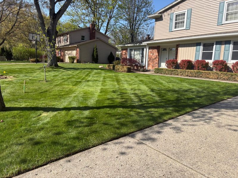 Lawn Maintenance