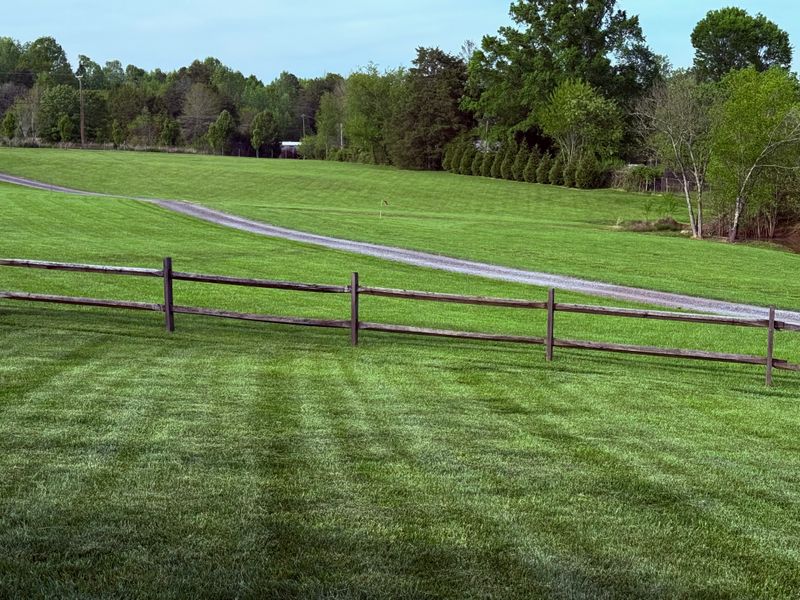 Lawn Care