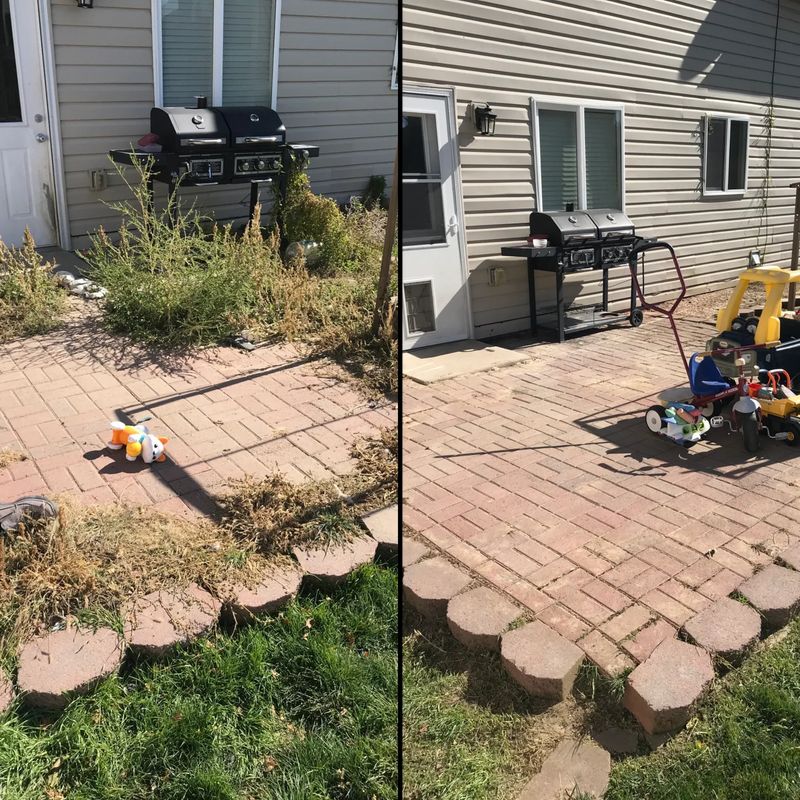 Lawn Maintenance