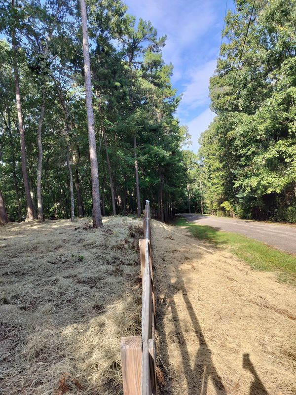 Land Clearing and Site Preparation