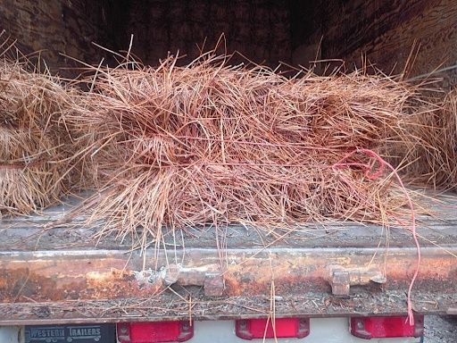 Pinestraw Installation
