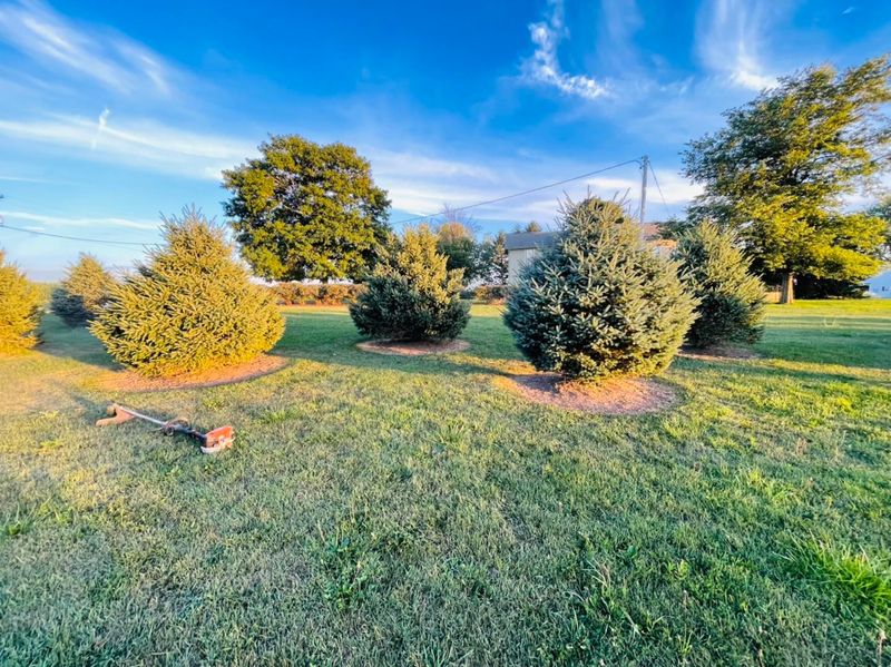 Lawn Leveling