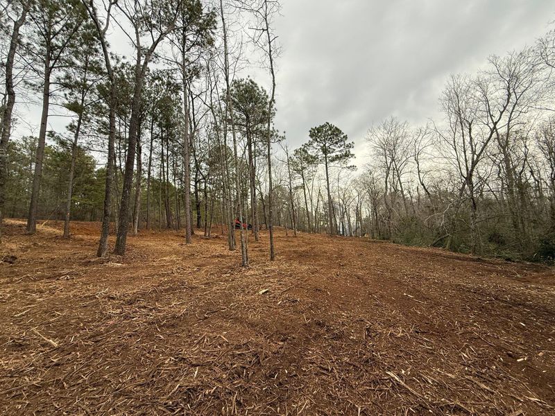 Land Clearing & Demolition