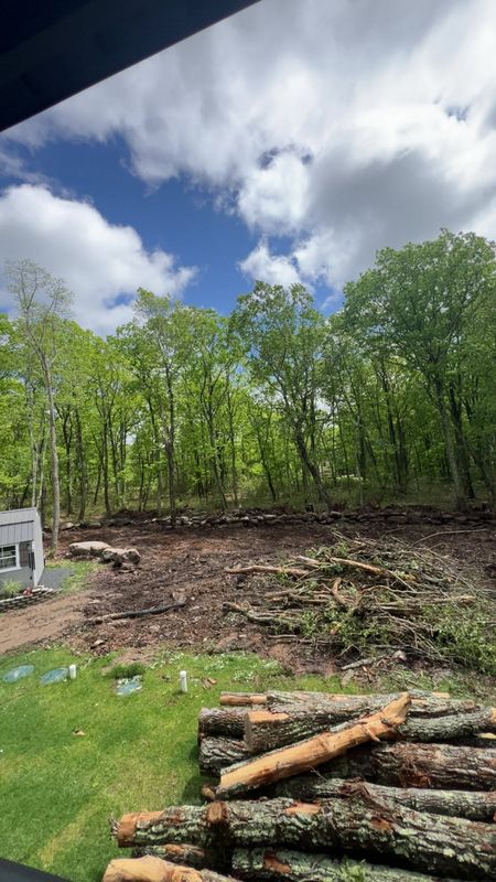 Residential Land Clearing
