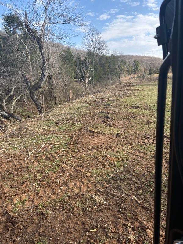 Land Clearing