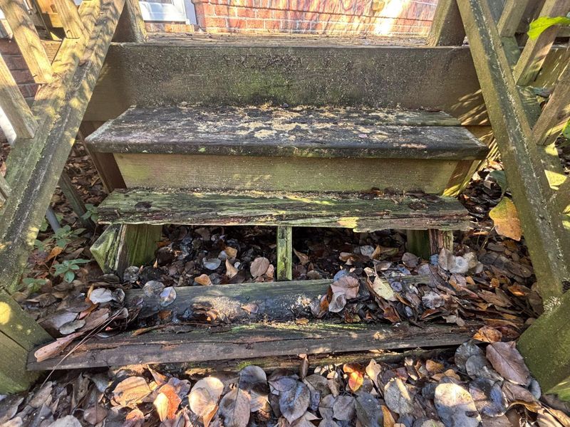 Deck & Patio Cleaning
