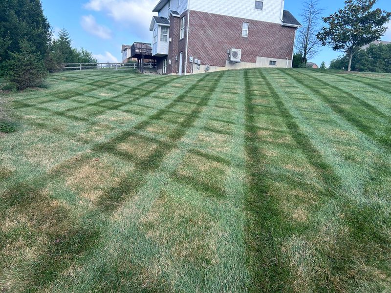 Our Mowing