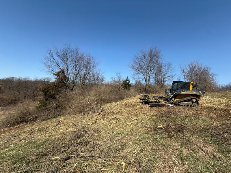 Forestry Mulching & Tree Removal