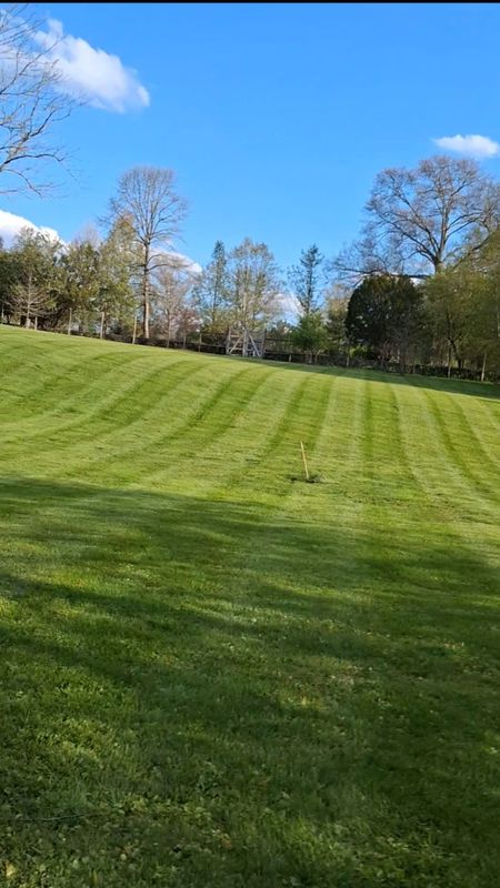 Garden Maintenance