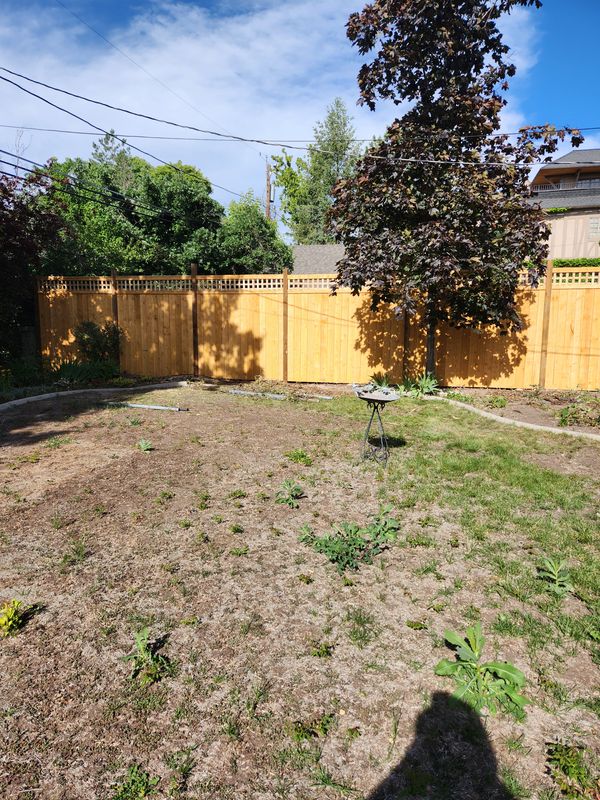 Wood Fencing