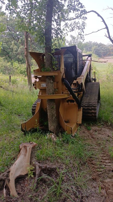 Tree Removal
