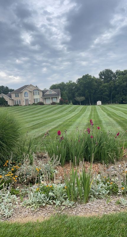 Lawn Care
