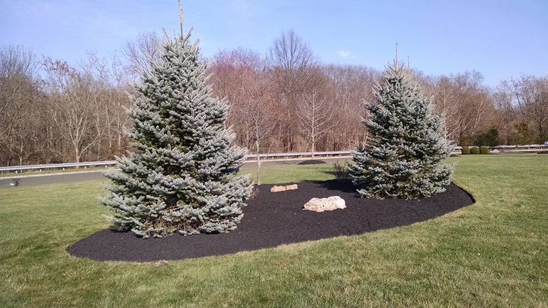 Plantings