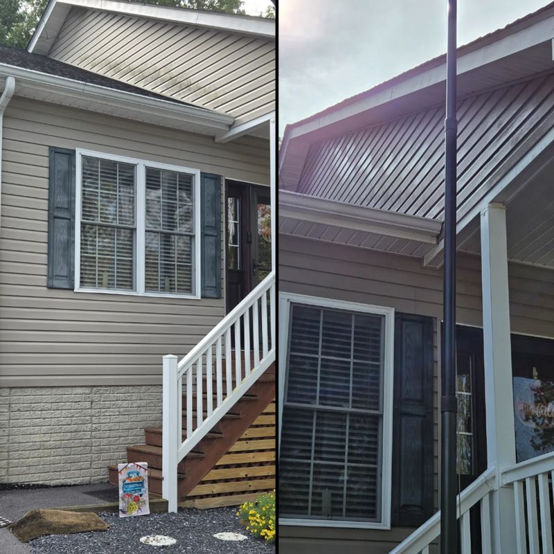 Gutter Clean/Gutter Guards