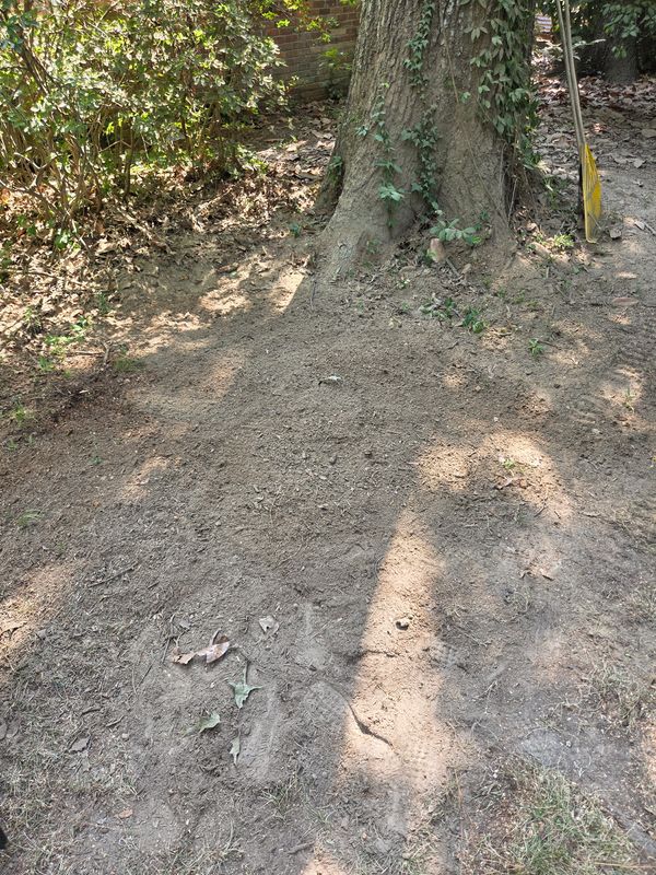 Stump Grinding