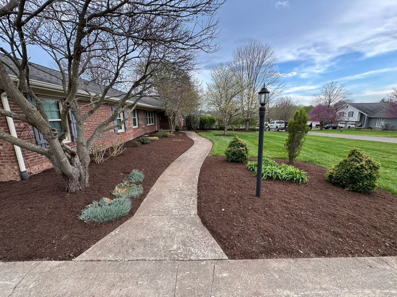 Tree and Shrub Care