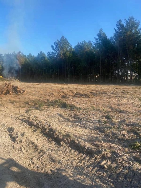 Land Clearing