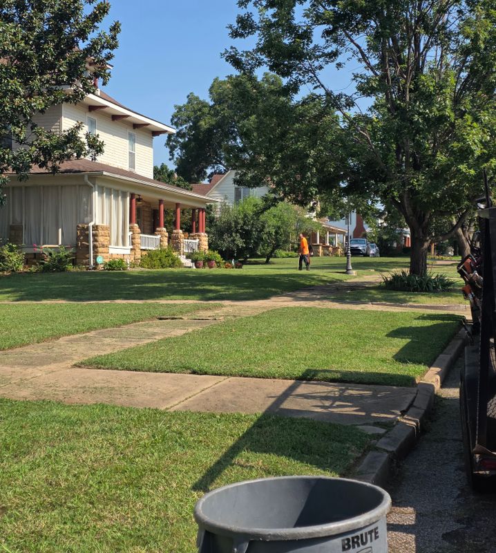Lawn Maintenance