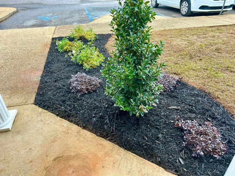 Landscape Bed Maintenance