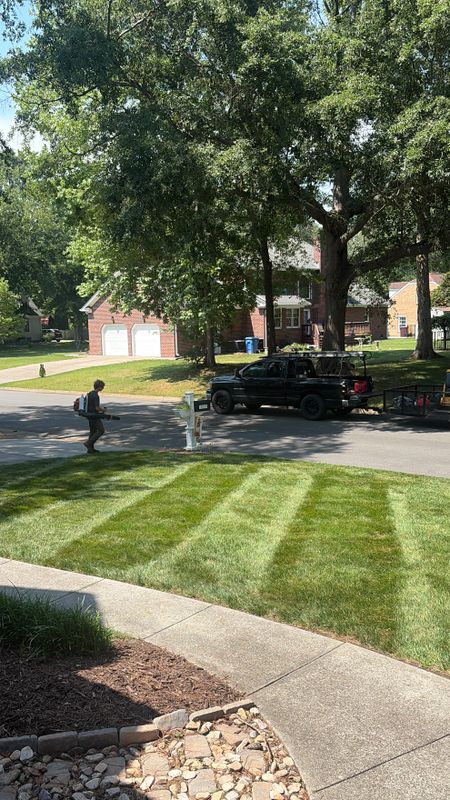 Property Maintenance